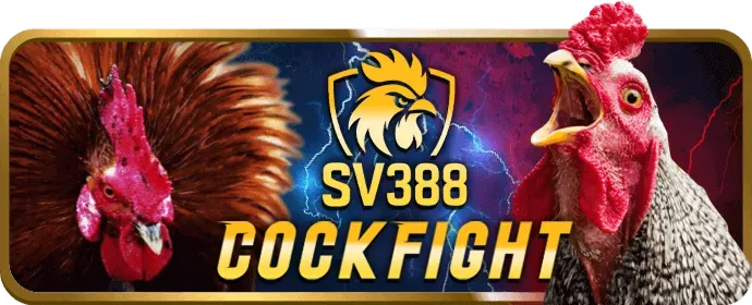 Trò chơi máy đánh bạc PP88